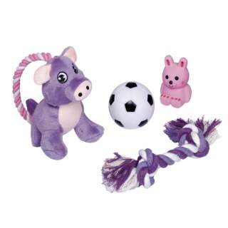 Nobby Puppy Starter Set - 4 teilig
