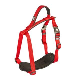 Duvoplus EXPLOR North Geschirr - Rot - 80-100cm/25mm