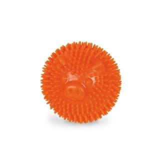 Nobby TPR Noppen Ball Pig - 6,5cm